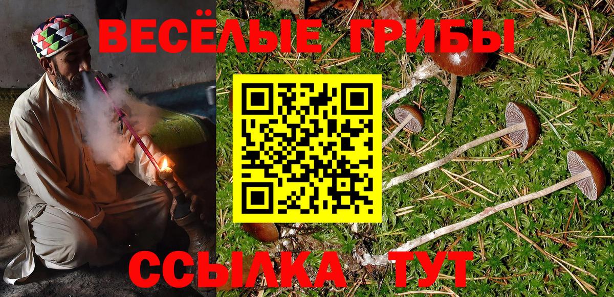 Псилоцибиновые грибы ЛСД Назарово